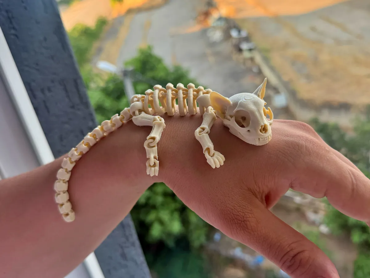 Flexi Skeleton Cat, Articulated 3D Skeleton Cat, photo 3 of 4 - Flexi Skeleton Cat, Articulated 3D Skeleton Cat Fidget & Sensory Toys