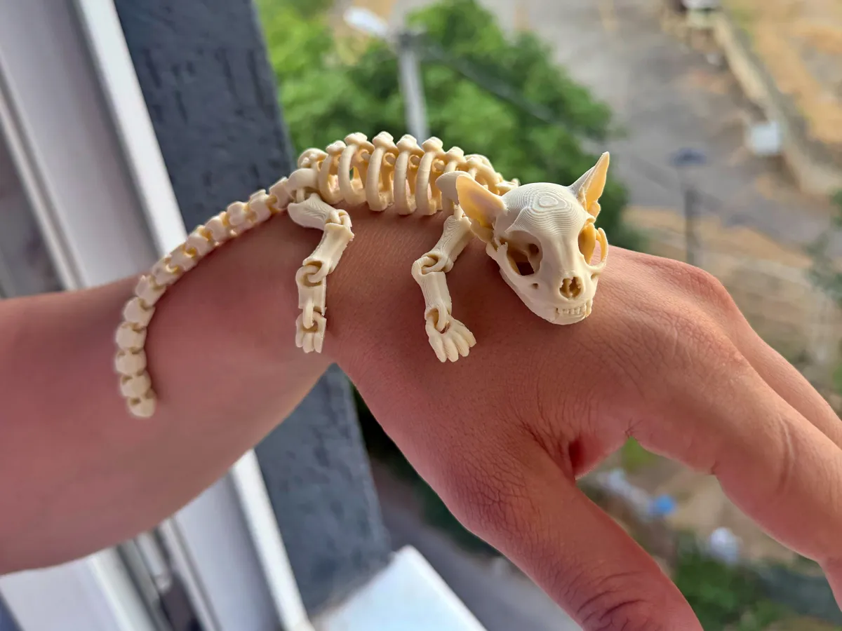 Flexi Skeleton Cat, Articulated 3D Skeleton Cat, photo 4 of 4 - Flexi Skeleton Cat, Articulated 3D Skeleton Cat Fidget & Sensory Toys