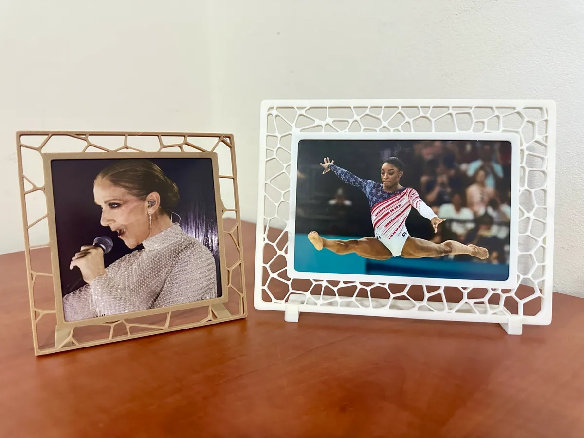 Parametric Photo Stand Frame - Customize Voronoi, photo 2 of 4 - Modern & Minimal Frames, vandalism