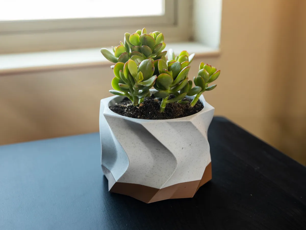 Twisted Succulent Planter w/ drainage