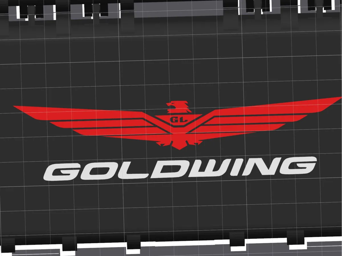 GOLDWING PROTECTIVE SUNGLASS CASE FOR YOUR BAGGER
