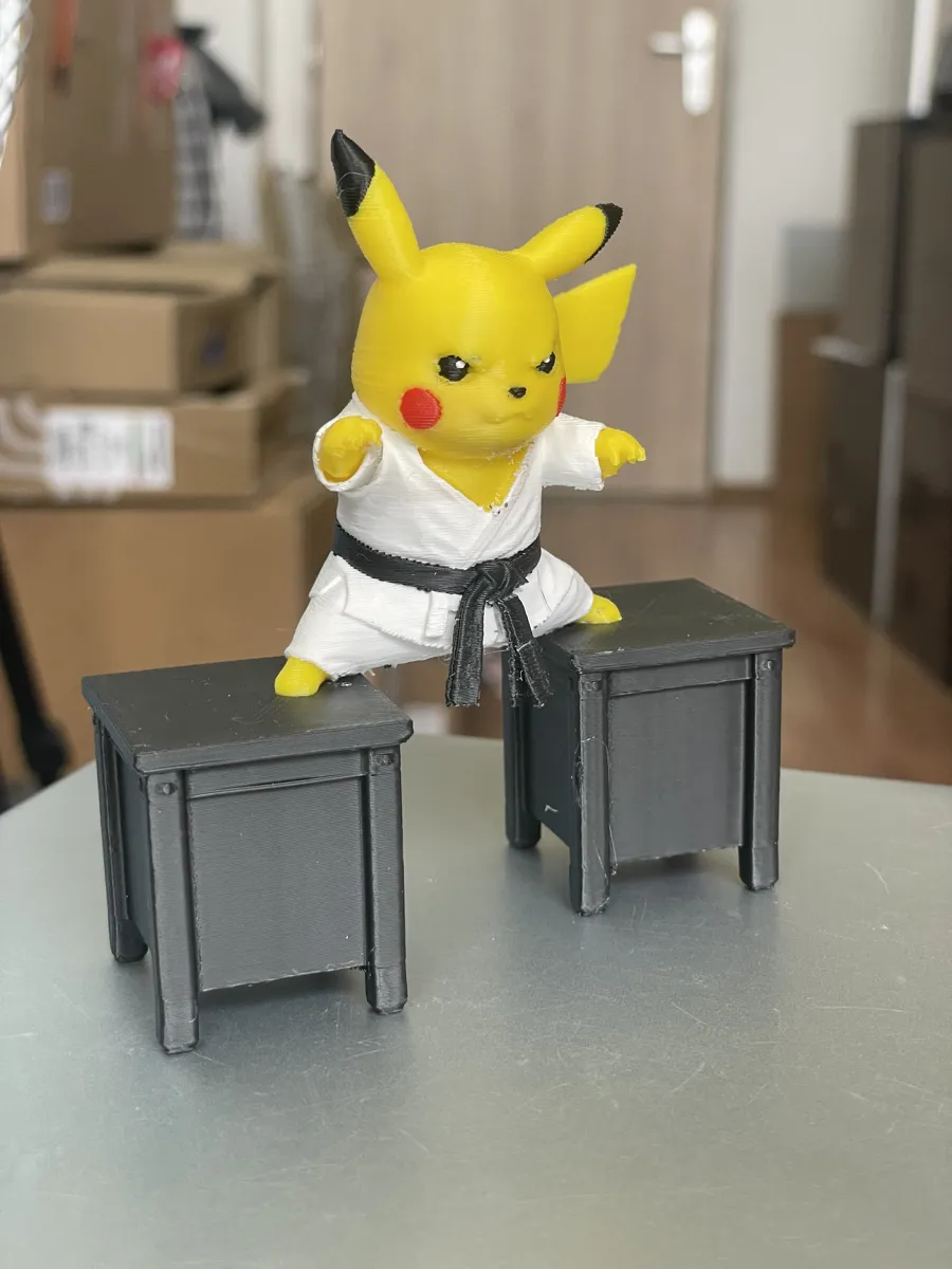 Pokemon pikachu karate, photo 3 of 4 - Pokemon pikachu karate Sports & Fitness