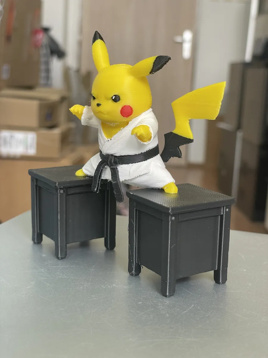 Pokemon pikachu karate, photo 4 of 4 - Pokemon pikachu karate Sports & Fitness