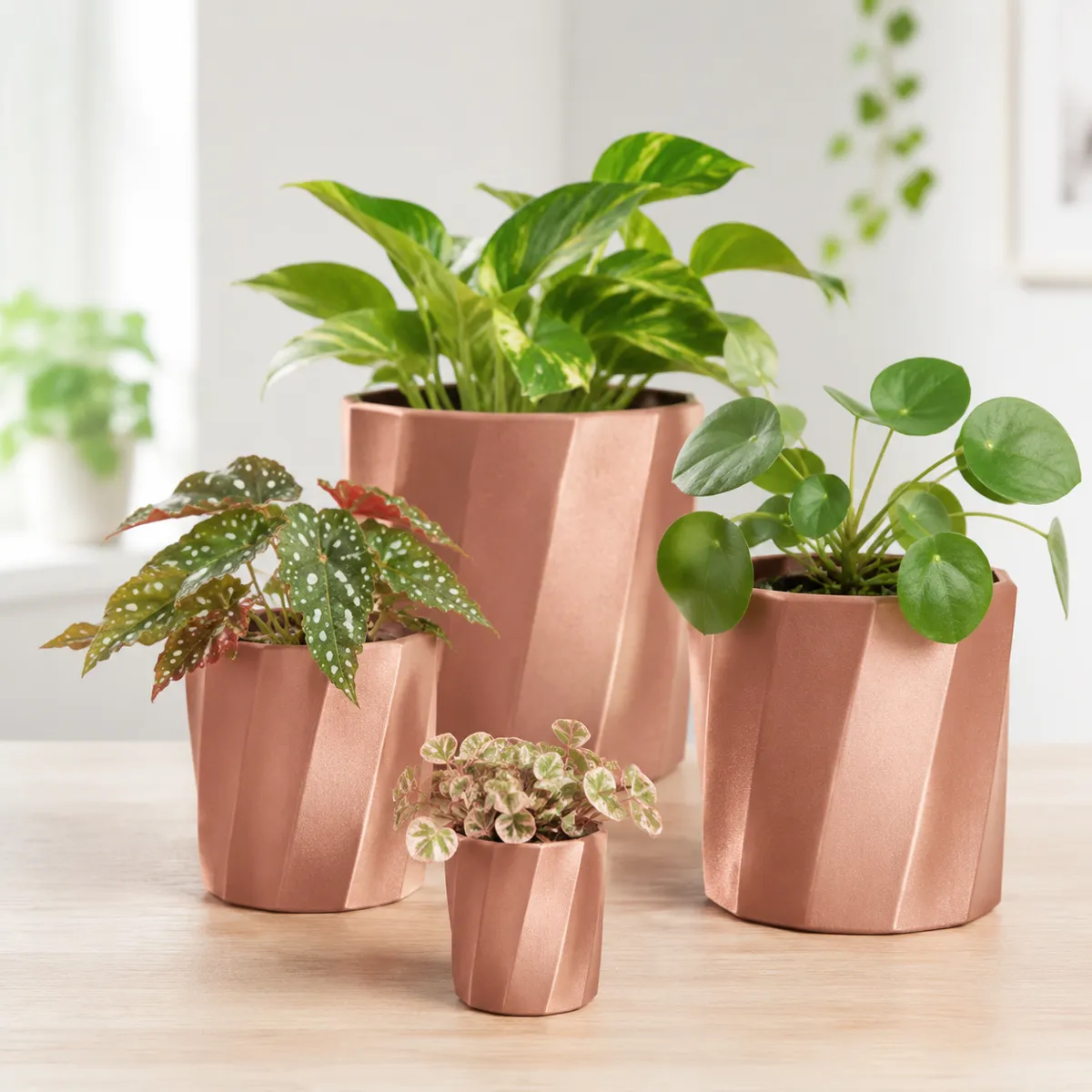 Mai Bloom Facet Wave Watertight Planter Collection, photo 2 of 4 - Mai Bloom Facet Wave Watertight Planter Collection Garden & Outdoor