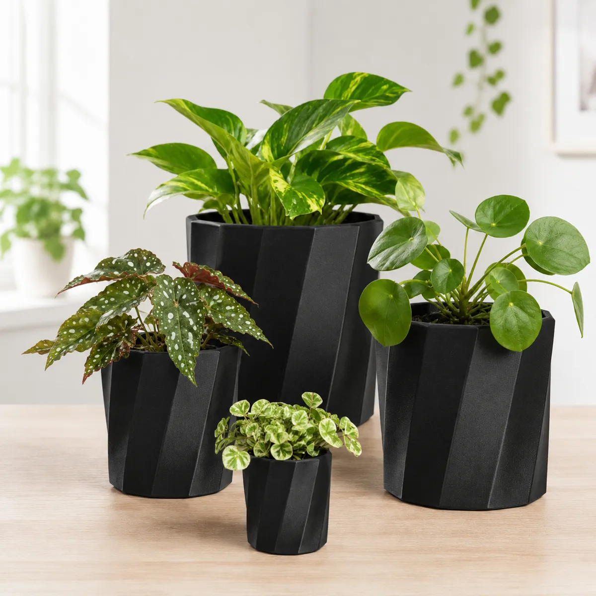 Mai Bloom Facet Wave Watertight Planter Collection, photo 4 of 4 - Mai Bloom Facet Wave Watertight Planter Collection Garden & Outdoor