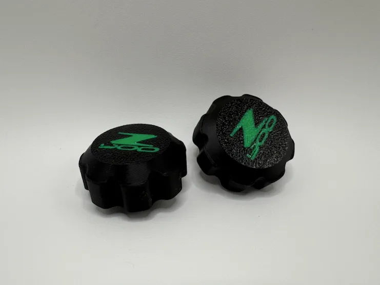 Kawasaki Z900 Front Fork Plugs