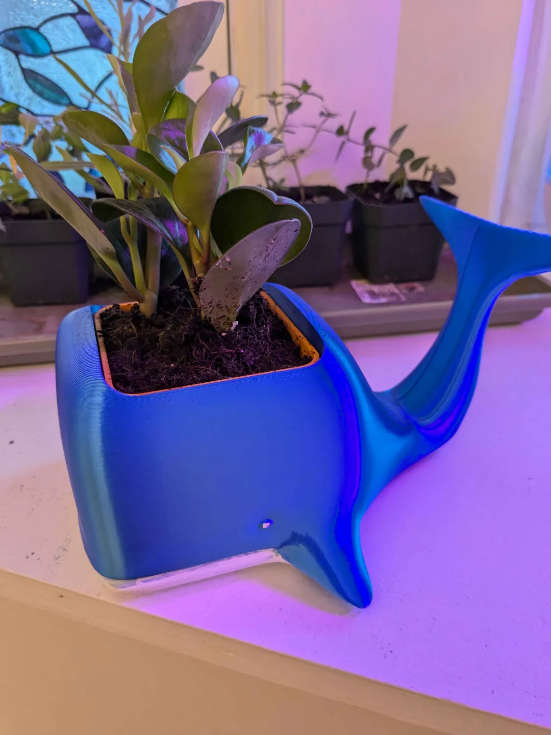 Whale Planter (simple self watering planter), photo 2 of 4 - Whale Planter (simple self watering planter) Garden & Outdoor