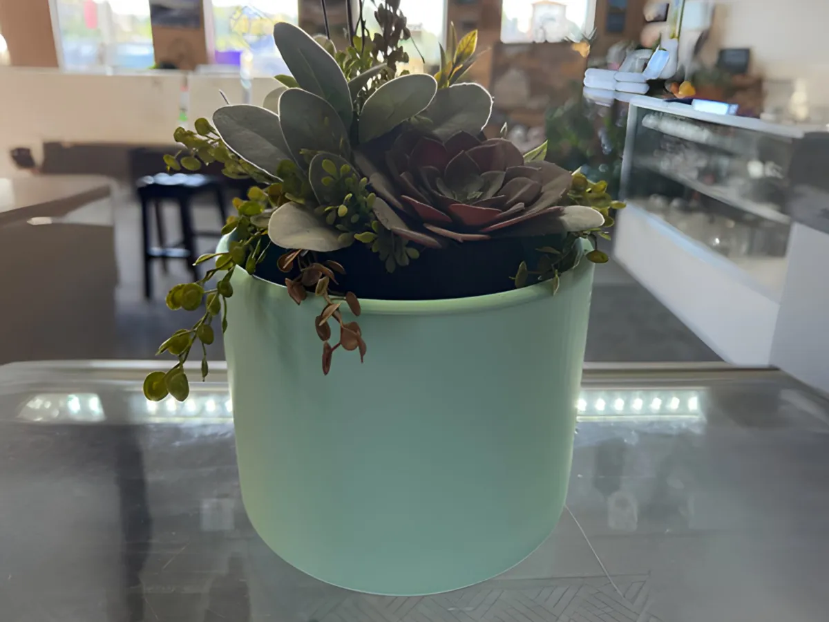 8x6'' Basic Draining Pot - Garden, in stock in India