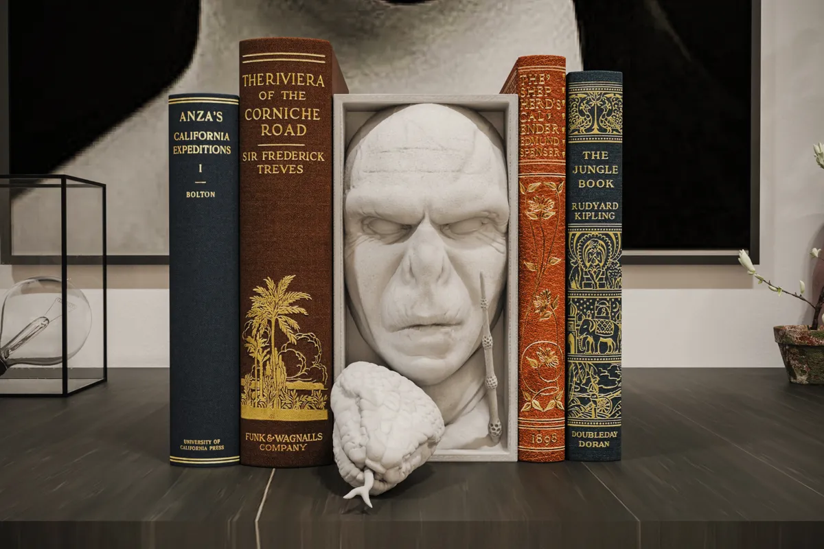 Voldemort Book Nook and Wall Mount, photo 2 of 4 - Voldemort Book Nook and Wall Mount Household