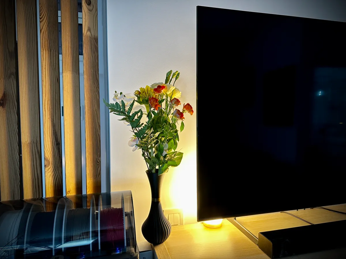 Elegant vase, photo 2 of 4 - Modern & Minimalist Vases, flower vase