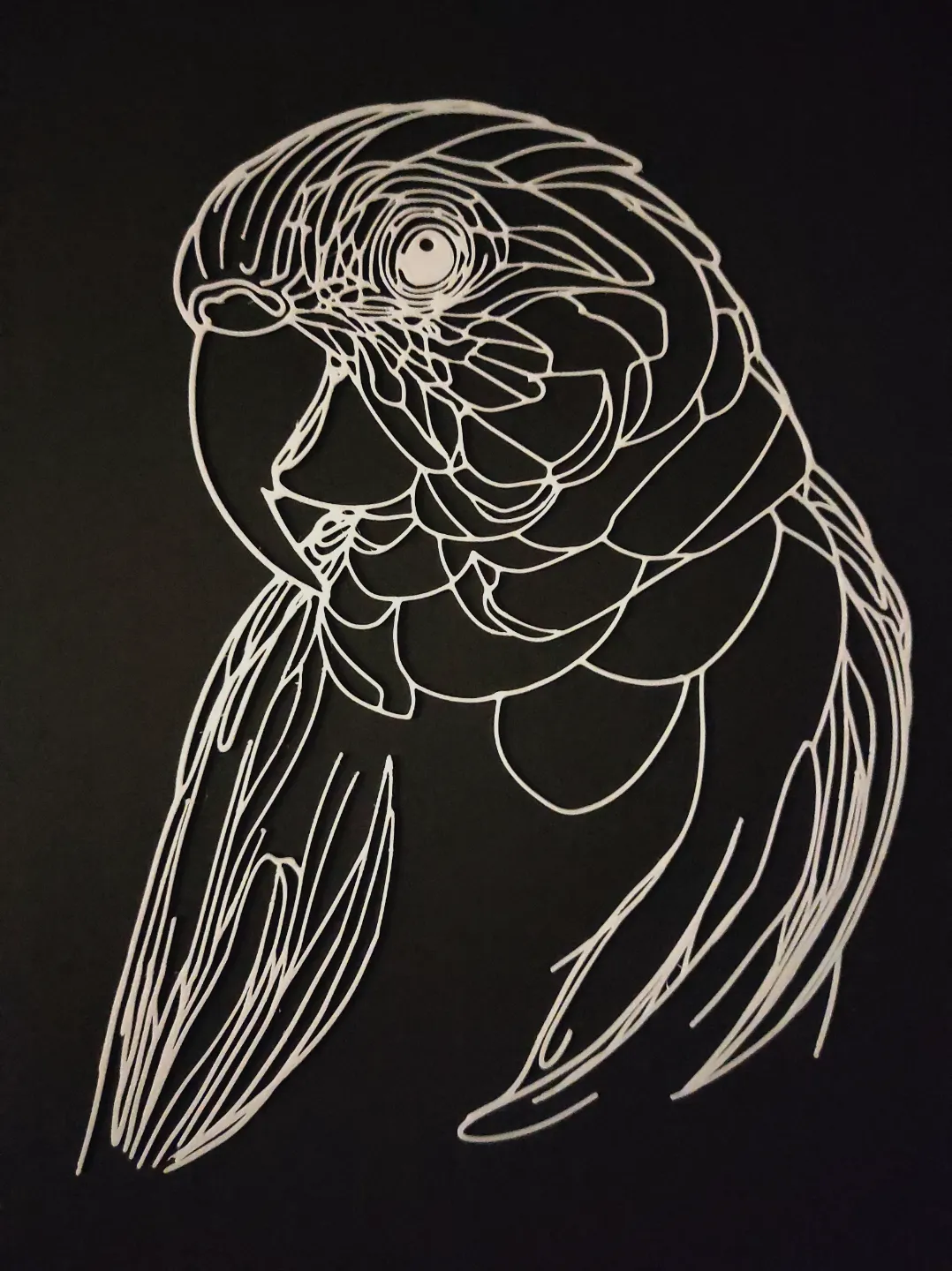 Bird Wall Art, photo 2 of 3 - Bird Wall Art Art
