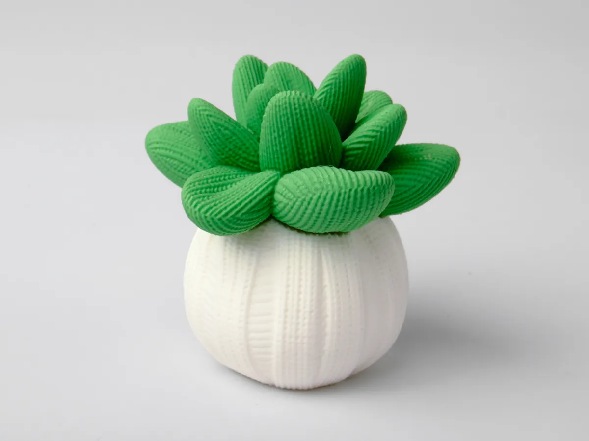 Succulent Buddy, Cute Plant Decor for Desk