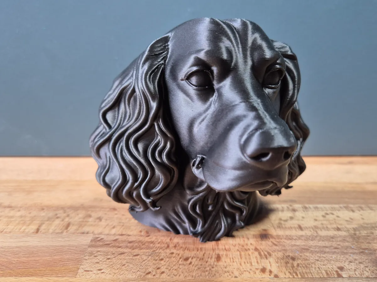 Springer Spaniel Bust
