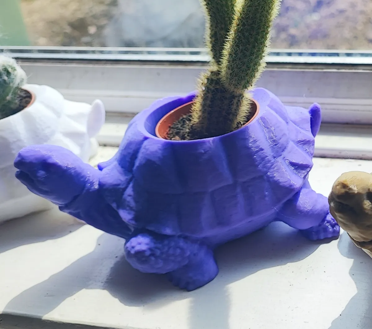 turtle planter