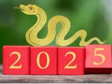Year Of The Snake Pixel Art - 2D Art, in stock in India