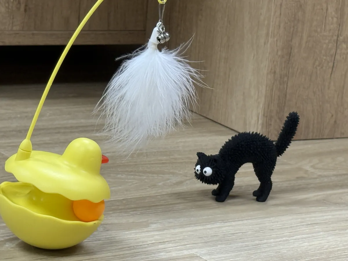 The Cat Who's Scared of Everything, photo 3 of 4 - The Cat Who's Scared of Everything Figurines & Collectibles