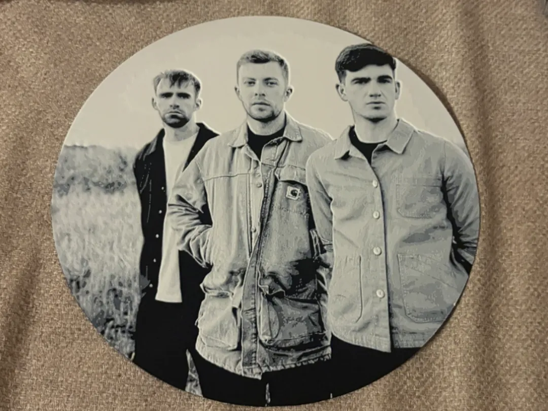 Kingfishr wall art