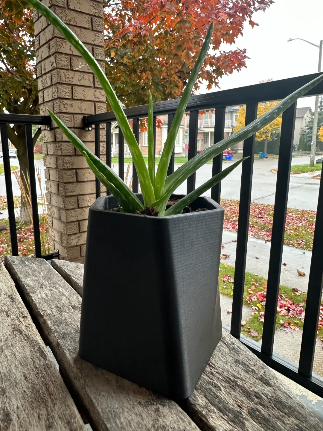 GreenScapes Succulent Planter, photo 2 of 2 - Succulent & Mini Planters, planterpot