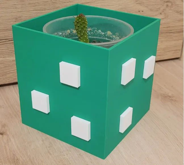 Cactus pot - Succulent & Mini Planters, in stock in India