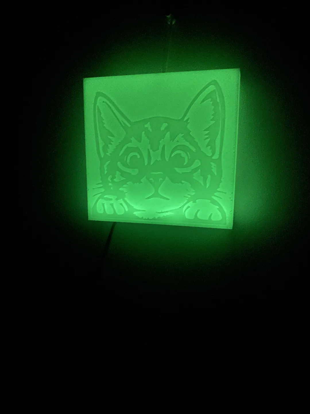 Cute Cat Light Box - Animal & Wildlife Light Boxes, in stock
