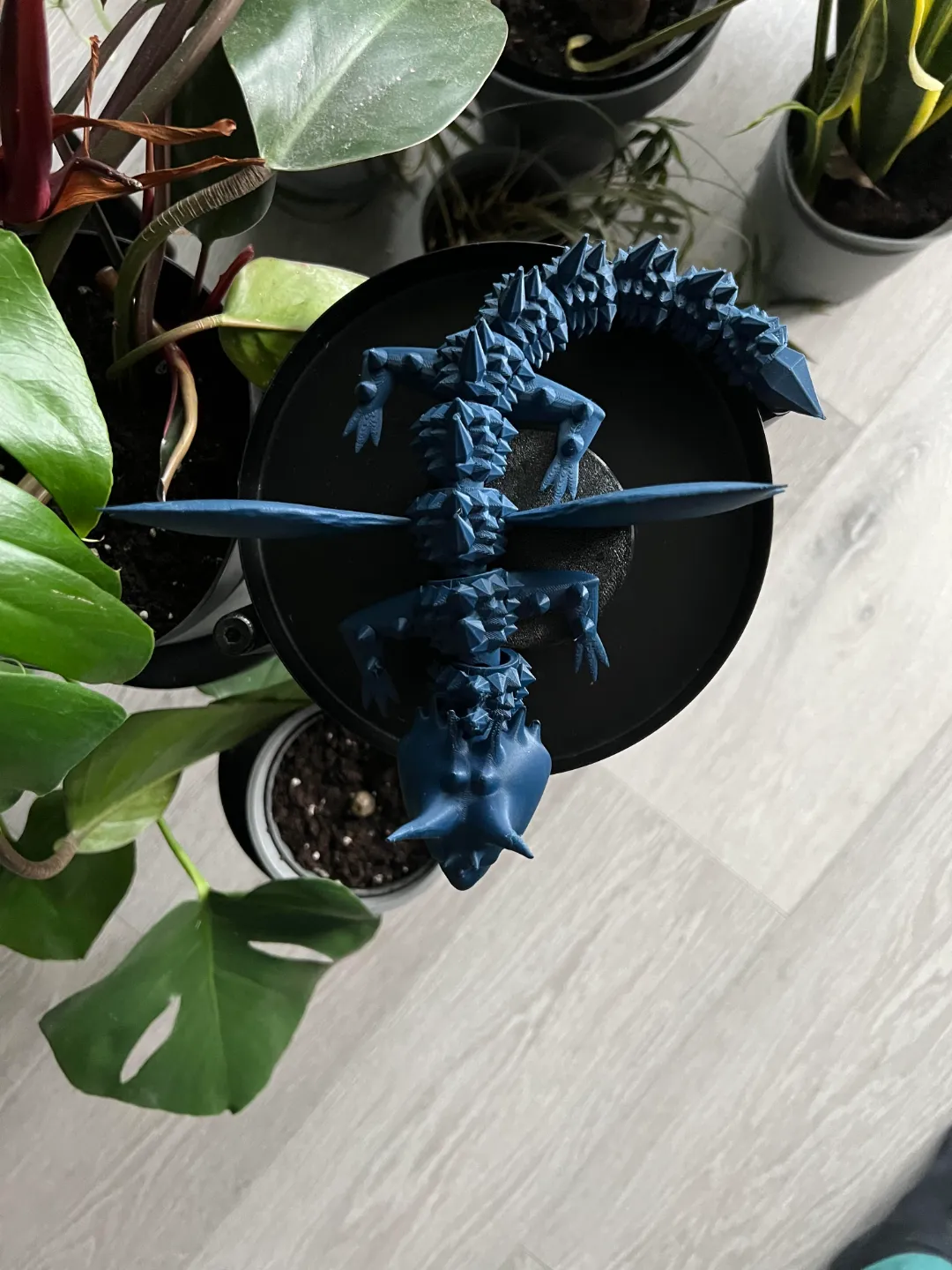 Flexi Blue Dragon