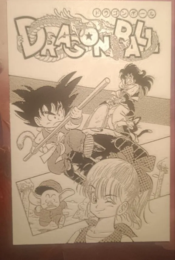 portada manga dragon ball - Photo Art & Lithophanes, in stock in India