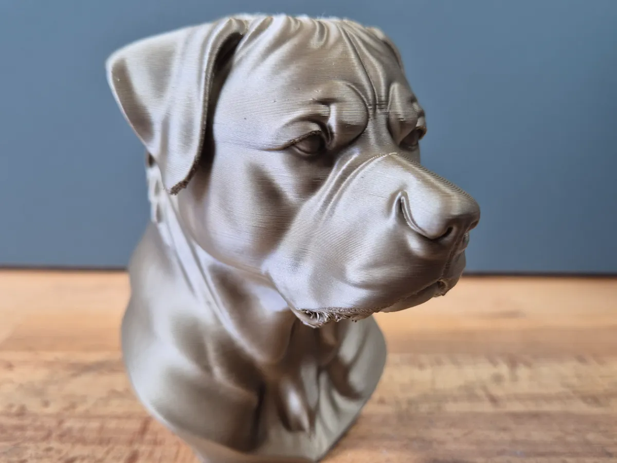 Rottweiler bust