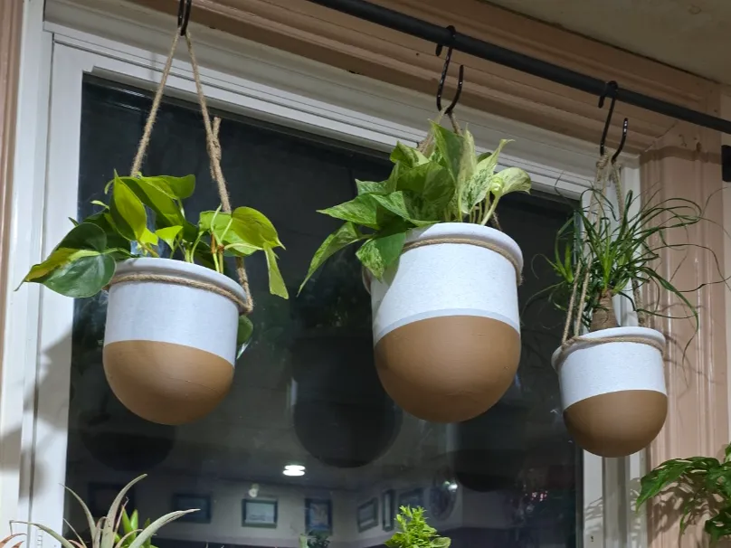 Hanging Pot