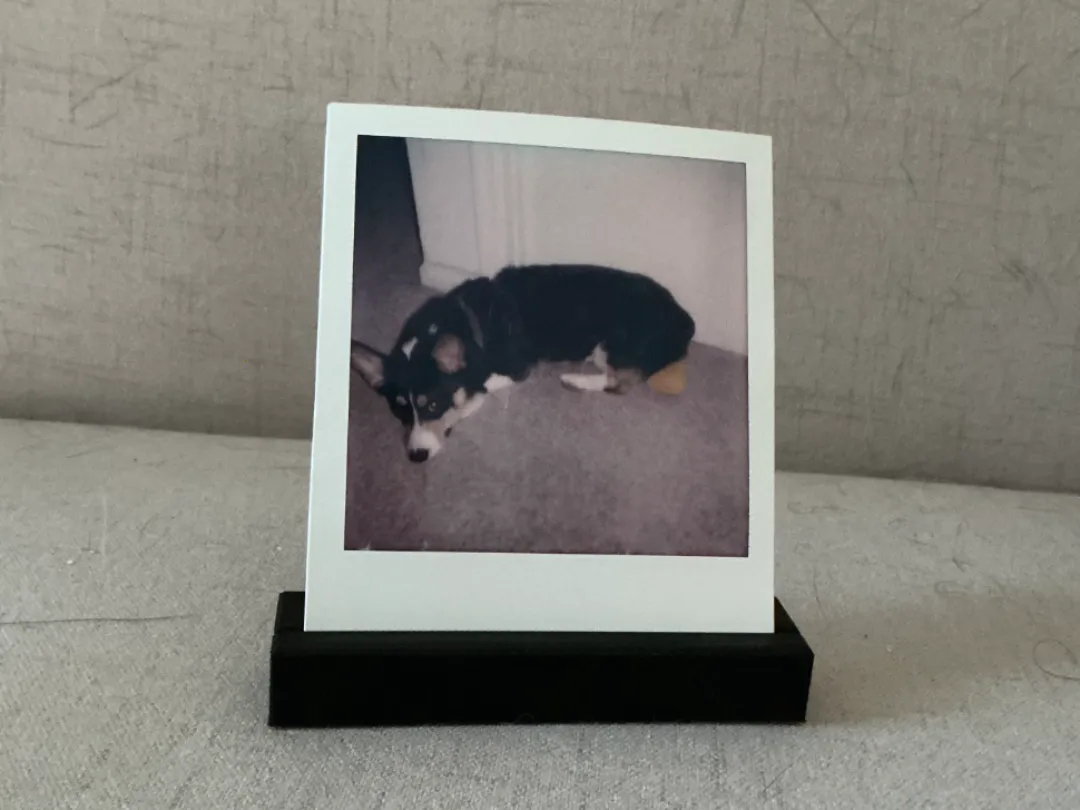 Minimalist Polaroid Display