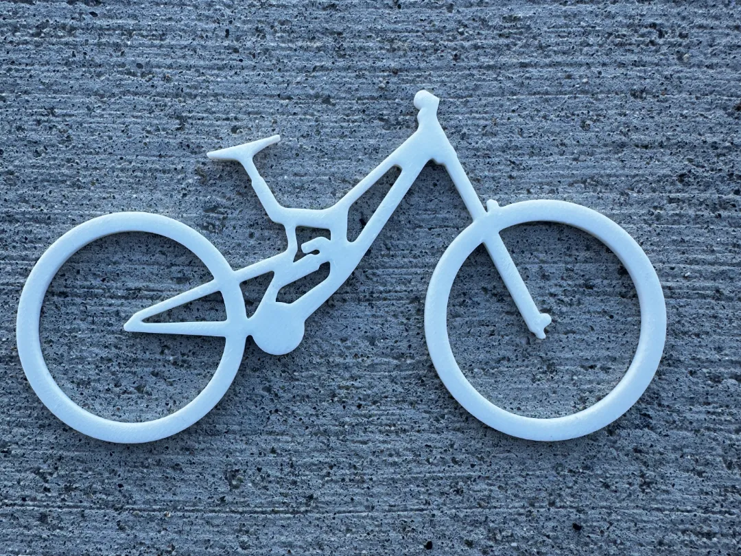 Santa Cruz V10 Keychain