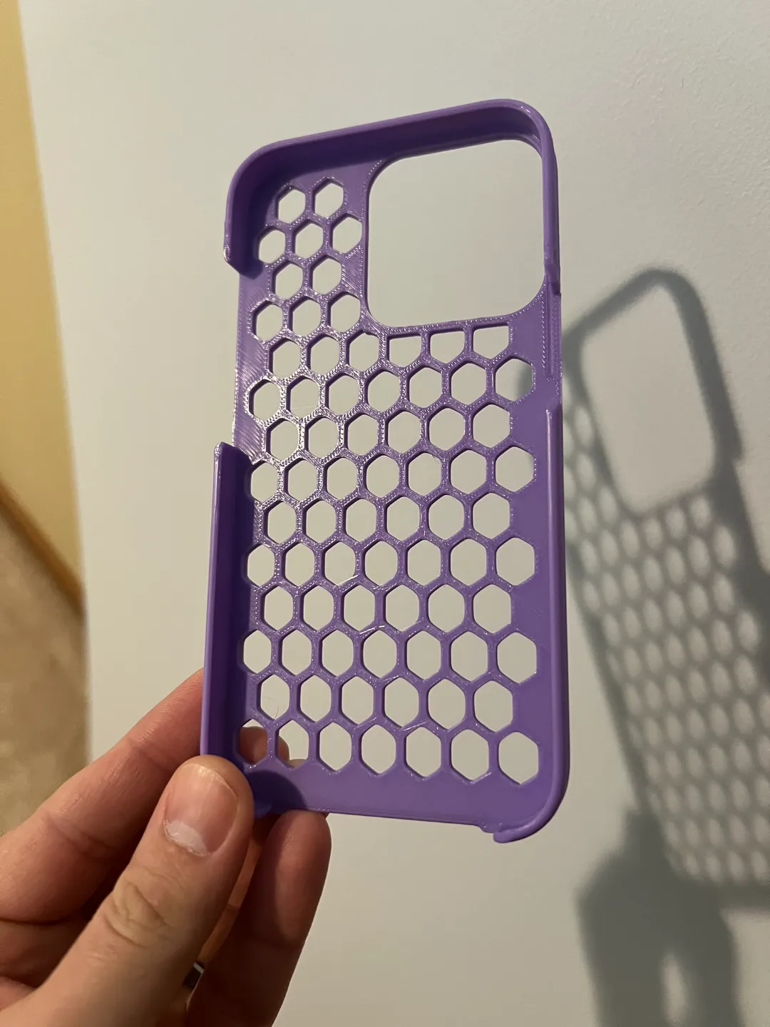 iPhone 13 Pro Case