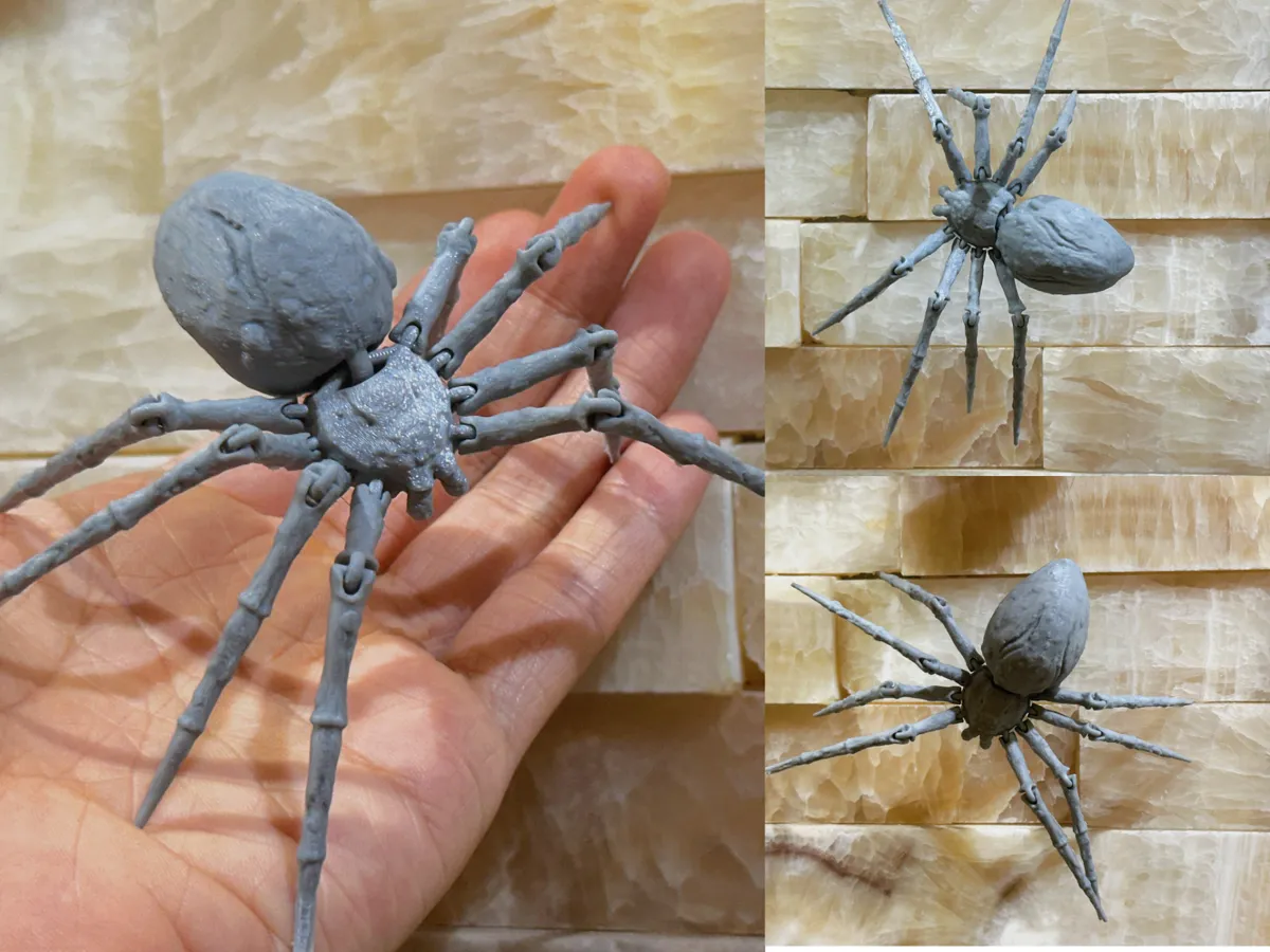spider