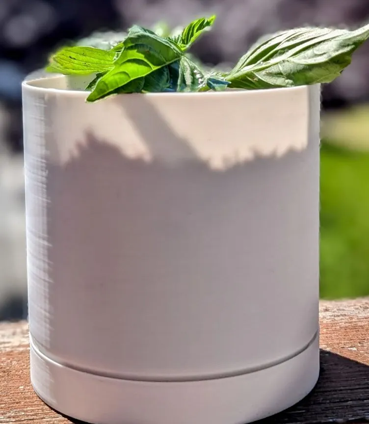 Basic plant pot
