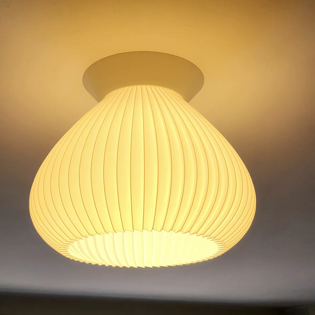 Ceiling Lamp Shade & Fittings, photo 3 of 4 - Ceiling Lamp Shade & Fittings Lamps & Lighting