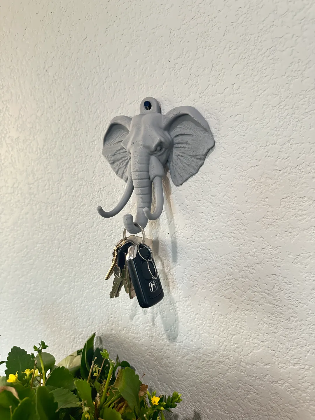 Elephant (Wall Hook), photo 3 of 4 - Elephant (Wall Hook) Storage & Organisation