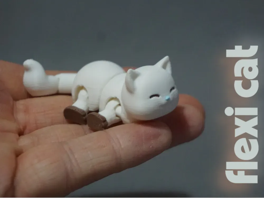 Flexi cat