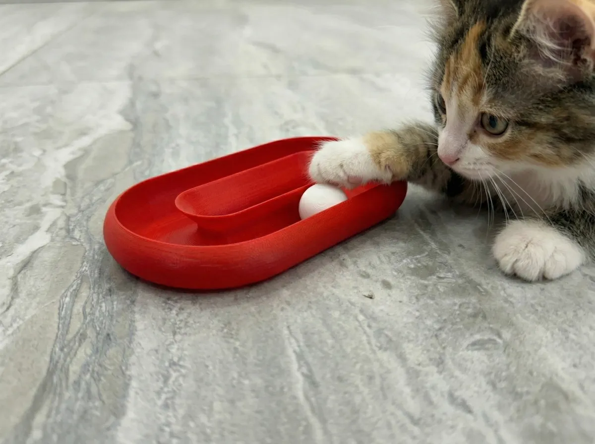 Oval Fidget Toy - Infinite Loop (Cat / Kids), photo 2 of 3 - Oval Fidget Toy - Infinite Loop (Cat / Kids) Fidget & Sensory Toys