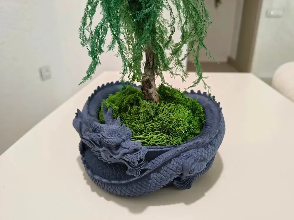 Imperial Dragon Bonsai Pot