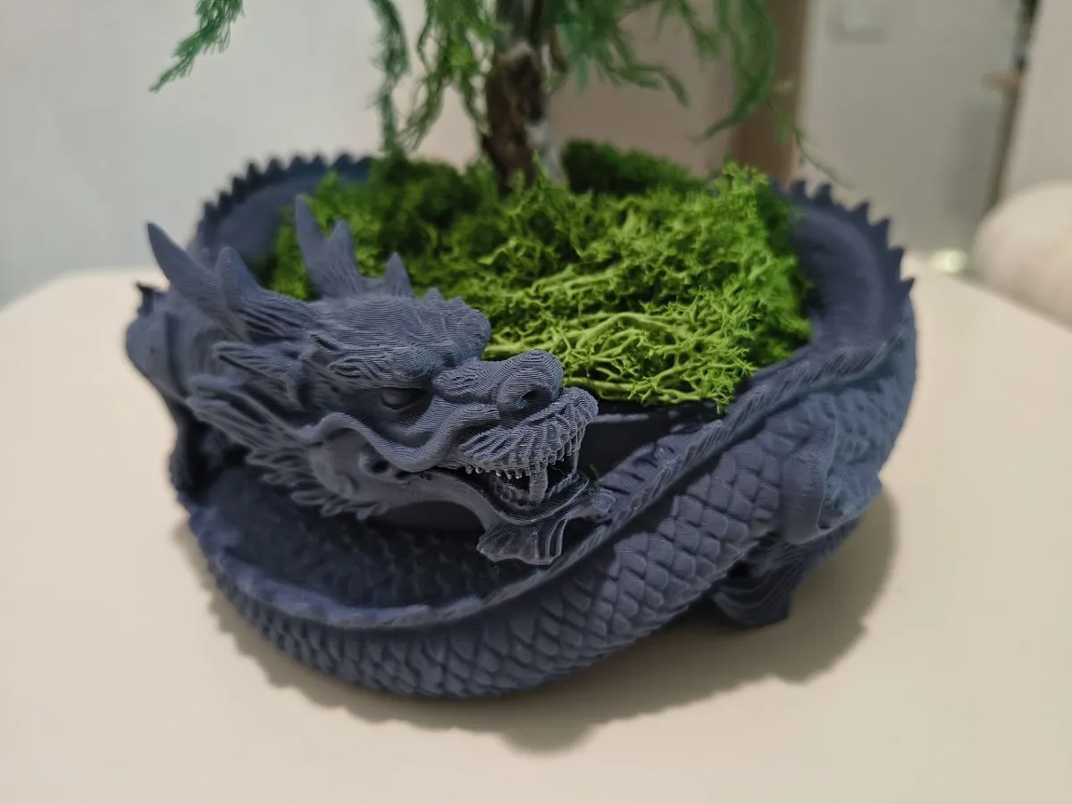 Imperial Dragon Bonsai Pot, photo 3 of 4 - Imperial Dragon Bonsai Pot Garden & Outdoor