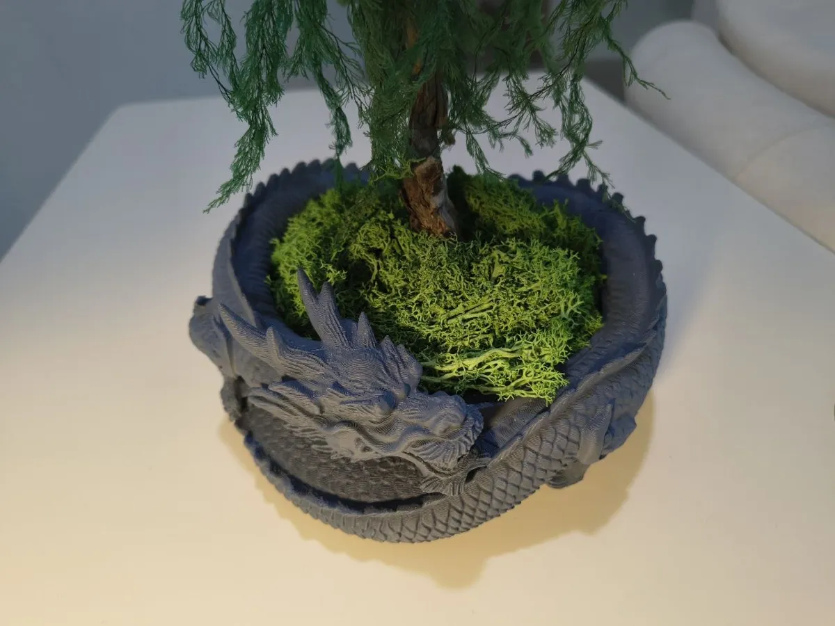 Imperial Dragon Bonsai Pot, photo 4 of 4 - Imperial Dragon Bonsai Pot Garden & Outdoor