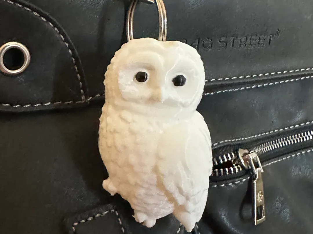 Hedwig Harry Potter Anhänger