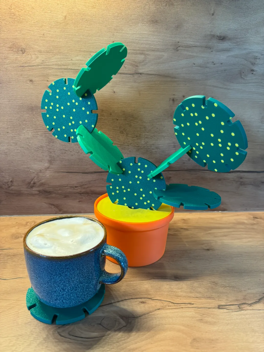 Cactus coaster/toy