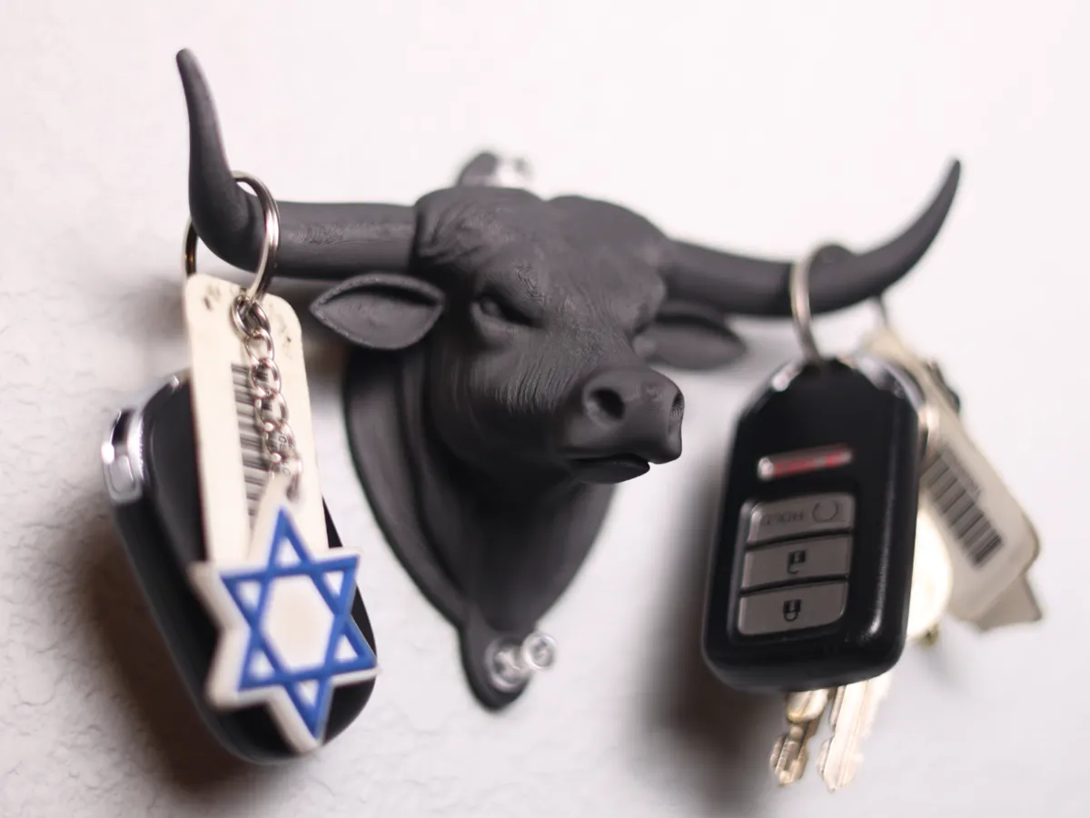 LongHorn(Wall Hook)