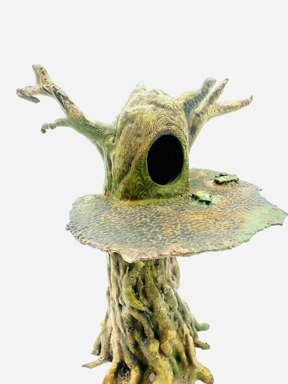 Springspinnen Baum, photo 3 of 4 - Springspinnen Baum Pets