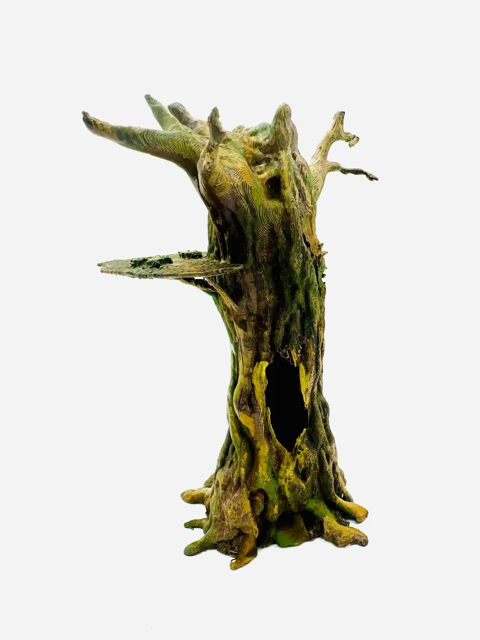 Springspinnen Baum, photo 4 of 4 - Springspinnen Baum Pets