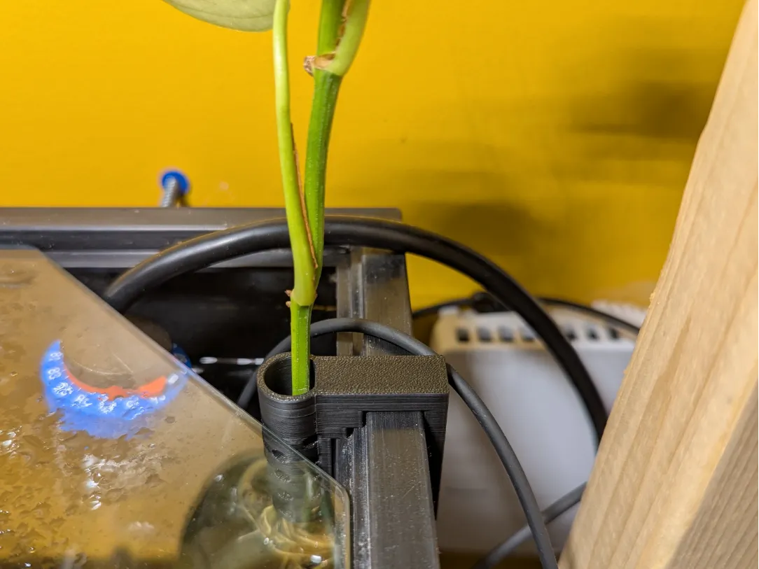 Pothos hanger for framed aquariums