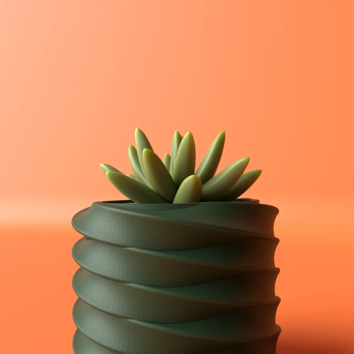 Textured Torus Vase / Planter, photo 4 of 4 - Geometric & Modern Planters, gardening