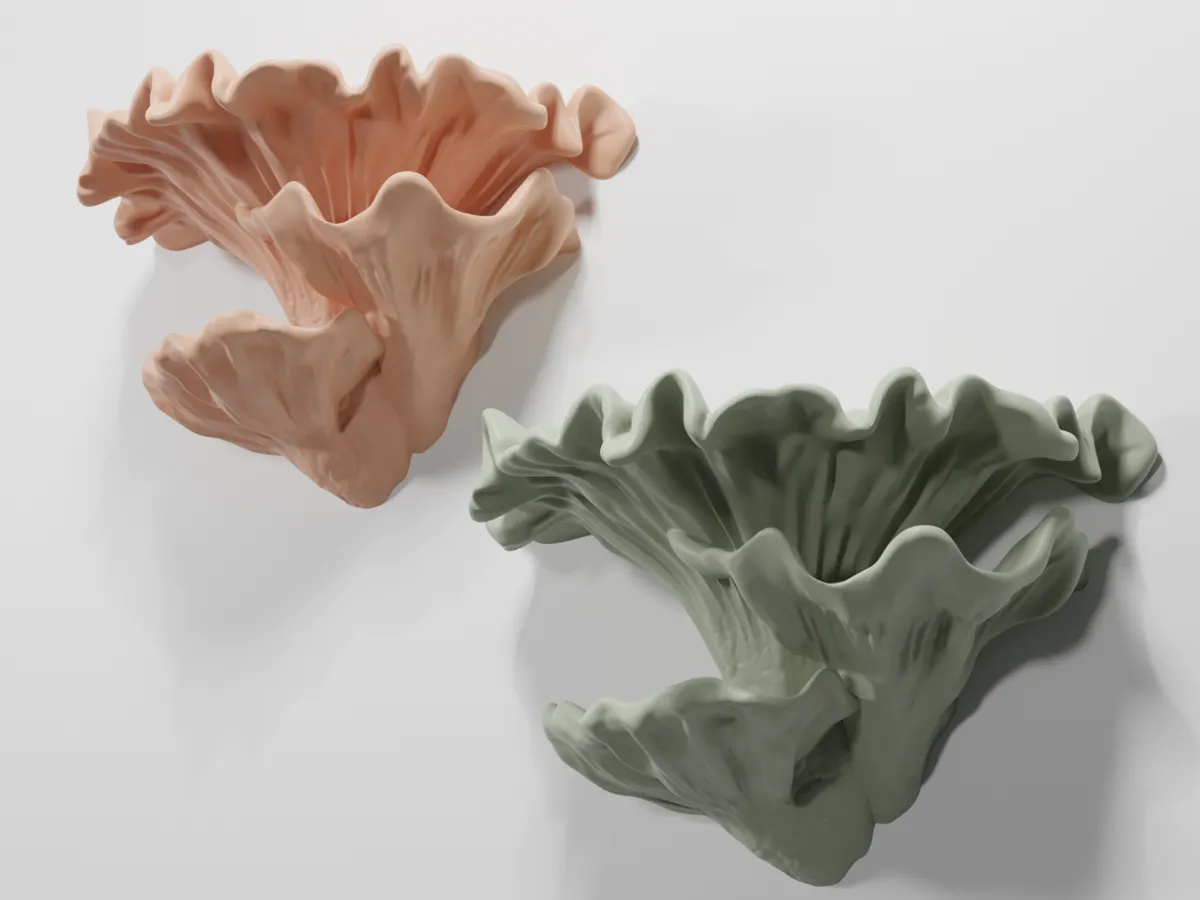 Mushroom shelf, shelf fungi - Decor, in stock in India