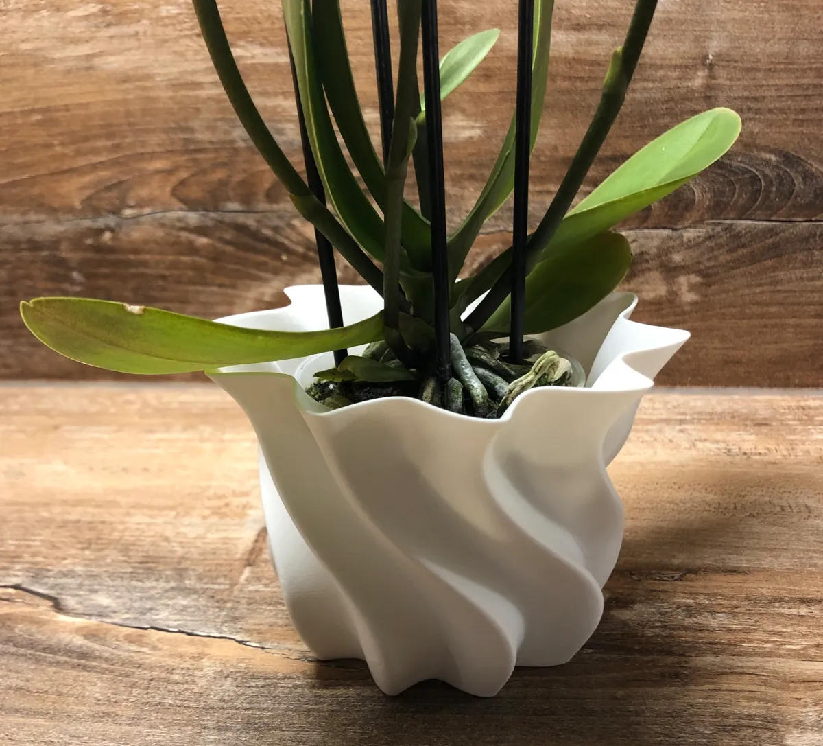 small Planter 70mm Diameter