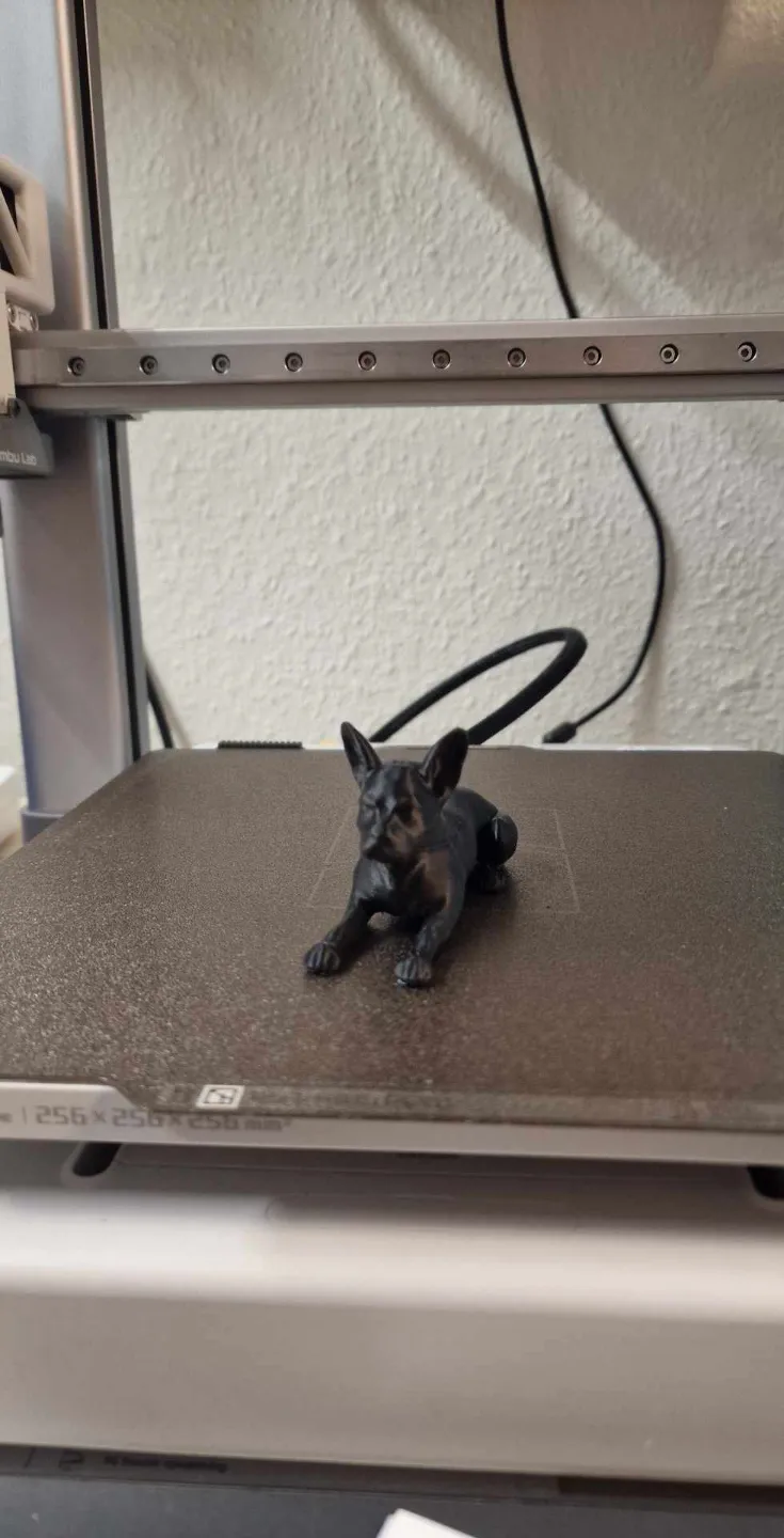 French Bulldog, photo 2 of 4 - French Bulldog Art